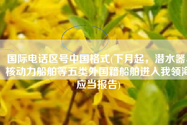 国际电话区号中国格式(下月起，潜水器、核动力船舶等五类外国籍船舶进入我领海应当报告)
