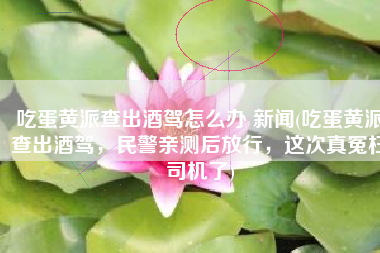 吃蛋黄派查出酒驾怎么办 新闻(吃蛋黄派查出酒驾，民警亲测后放行，这次真冤枉司机了)