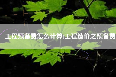 工程预备费怎么计算(工程造价之预备费)