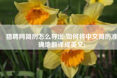 猎聘网简历怎么导出(如何将中文简历准确地翻译成英文)