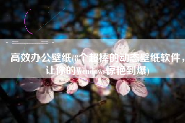 高效办公壁纸(8个超棒的动态壁纸软件，让你的Windows惊艳到爆)