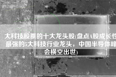 大科技股票的十大龙头股(盘点A股成长性最强的5大科技行业龙头，中国半导体峰会横空出世)