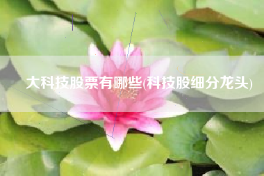 大科技股票有哪些(科技股细分龙头)