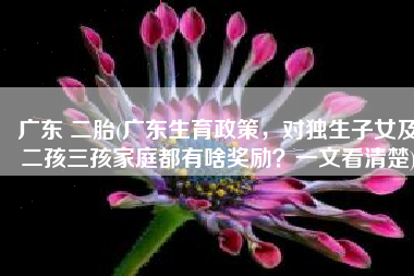 广东 二胎(广东生育政策，对独生子女及二孩三孩家庭都有啥奖励？一文看清楚)