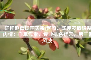 陈坤赵薇现在关系(赵薇、陈坤友情破裂内情：自卑作祟，专业排名疑云，第三者风波)