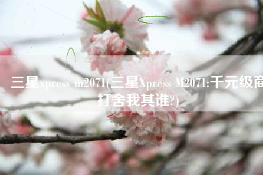 三星xpress m2071(三星Xpress M2071:千元级商打舍我其谁?)