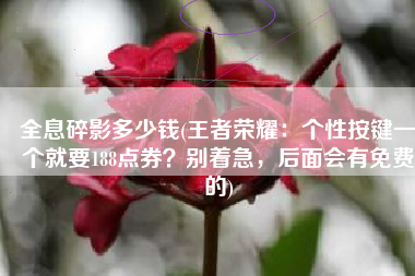 全息碎影多少钱(王者荣耀：个性按键一个就要188点券？别着急，后面会有免费的)