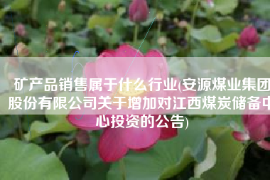 矿产品销售属于什么行业(安源煤业集团股份有限公司关于增加对江西煤炭储备中心投资的公告)