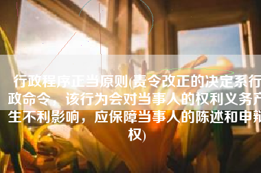 行政程序正当原则(责令改正的决定系行政命令，该行为会对当事人的权利义务产生不利影响，应保障当事人的陈述和申辩权)