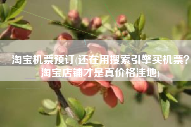 淘宝机票预订(还在用搜索引擎买机票？淘宝店铺才是真价格洼地)