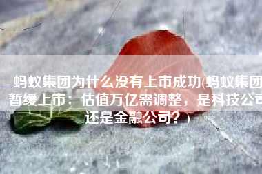 蚂蚁集团为什么没有上市成功(蚂蚁集团暂缓上市：估值万亿需调整，是科技公司还是金融公司？)