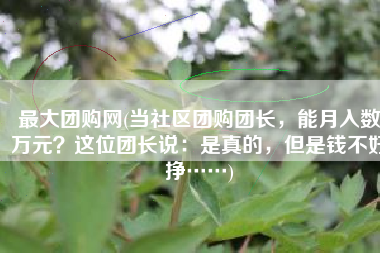 最大团购网(当社区团购团长，能月入数万元？这位团长说：是真的，但是钱不好挣……)