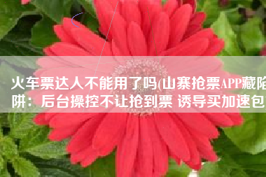 火车票达人不能用了吗(山寨抢票APP藏陷阱：后台操控不让抢到票 诱导买加速包)