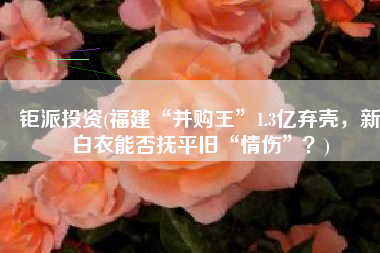 钜派投资(福建“并购王”1.3亿弃壳，新白衣能否抚平旧“情伤”？)