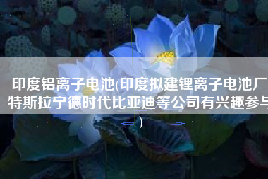 印度铝离子电池(印度拟建锂离子电池厂 特斯拉宁德时代比亚迪等公司有兴趣参与)