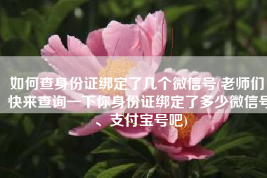 如何查身份证绑定了几个微信号(老师们，快来查询一下你身份证绑定了多少微信号、支付宝号吧)