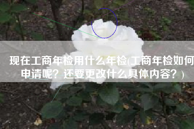 现在工商年检用什么年检(工商年检如何申请呢？还要更改什么具体内容？)