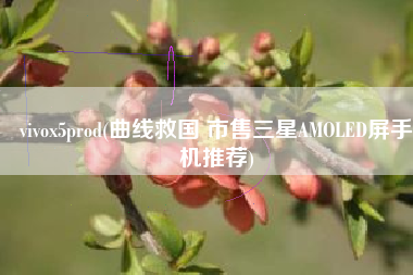 vivox5prod(曲线救国 市售三星AMOLED屏手机推荐)