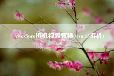 vivox5pro拆机视频教程(vivo x5拆机)