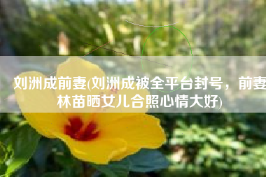 刘洲成前妻(刘洲成被全平台封号，前妻林苗晒女儿合照心情大好)