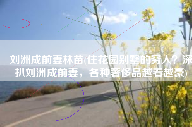 刘洲成前妻林苗(住花园别墅的穷人？深扒刘洲成前妻，各种奢侈品越看越豪)