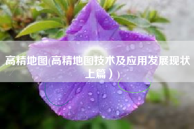 高精地图(高精地图技术及应用发展现状（上篇）)