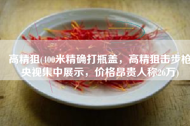 高精狙(400米精确打瓶盖，高精狙击步枪央视集中展示，价格昂贵人称26万)