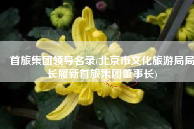 首旅集团领导名录(北京市文化旅游局局长履新首旅集团董事长)
