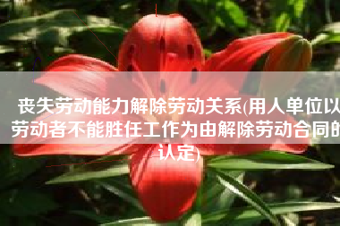 丧失劳动能力解除劳动关系(用人单位以劳动者不能胜任工作为由解除劳动合同的认定)