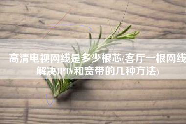 高清电视网线是多少根芯(客厅一根网线解决IPTV和宽带的几种方法)