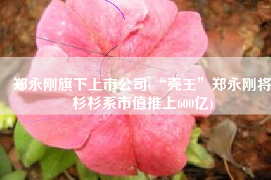 郑永刚旗下上市公司(“壳王”郑永刚将杉杉系市值推上600亿)