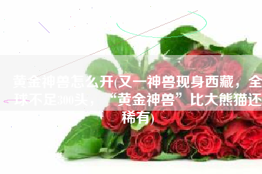 黄金神兽怎么开(又一神兽现身西藏，全球不足300头，“黄金神兽”比大熊猫还稀有)