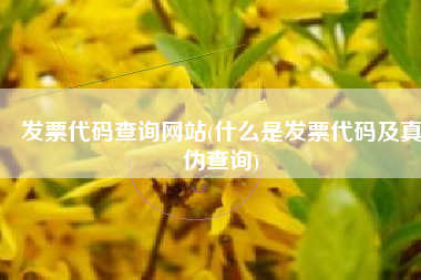 发票代码查询网站(什么是发票代码及真伪查询)
