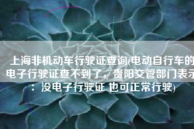 上海非机动车行驶证查询(电动自行车的电子行驶证查不到了，贵阳交管部门表示：没电子行驶证 也可正常行驶)
