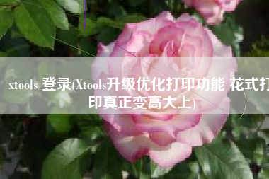 xtools 登录(Xtools升级优化打印功能 花式打印真正变高大上)