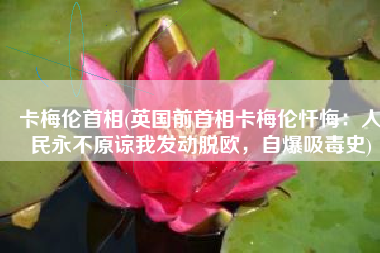 卡梅伦首相(英国前首相卡梅伦忏悔：人民永不原谅我发动脱欧，自爆吸毒史)