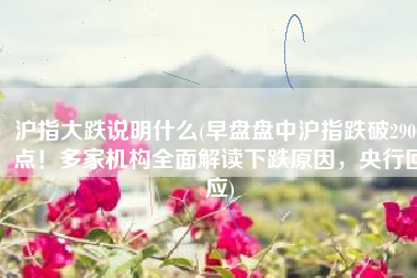 沪指大跌说明什么(早盘盘中沪指跌破2900点！多家机构全面解读下跌原因，央行回应)