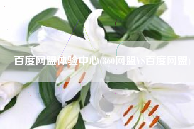 百度网盟体验中心(360网盟VS百度网盟)