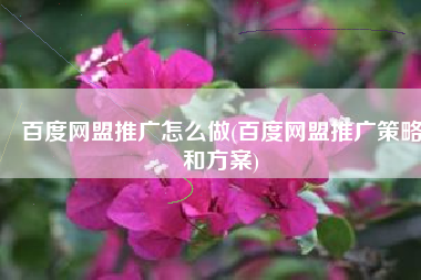 百度网盟推广怎么做(百度网盟推广策略和方案)