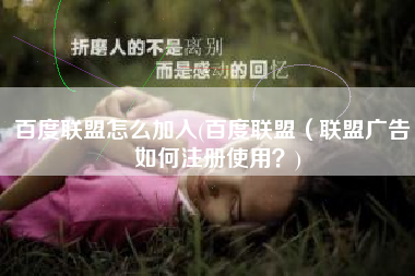 百度联盟怎么加入(百度联盟（联盟广告）如何注册使用？)