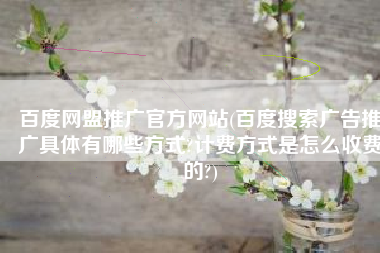 百度网盟推广官方网站(百度搜索广告推广具体有哪些方式?计费方式是怎么收费的?)