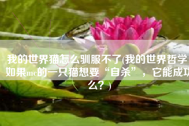 我的世界猫怎么驯服不了(我的世界哲学：如果mc的一只猫想要“自杀”，它能成功么？)