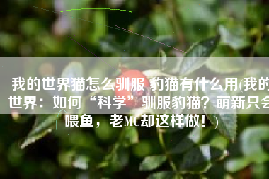 我的世界猫怎么驯服 豹猫有什么用(我的世界：如何“科学”驯服豹猫？萌新只会喂鱼，老MC却这样做！)