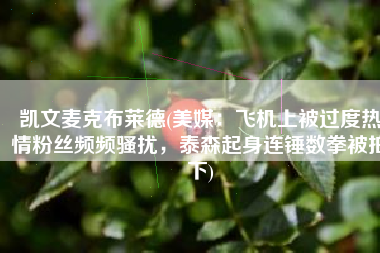 凯文麦克布莱德(美媒：飞机上被过度热情粉丝频频骚扰，泰森起身连锤数拳被拍下)