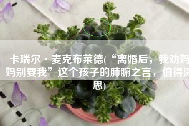 卡瑞尔·麦克布莱德(“离婚后，我劝妈妈别要我”这个孩子的肺腑之言，值得深思)