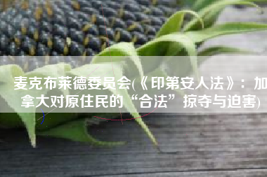 麦克布莱德委员会(《印第安人法》：加拿大对原住民的“合法”掠夺与迫害)