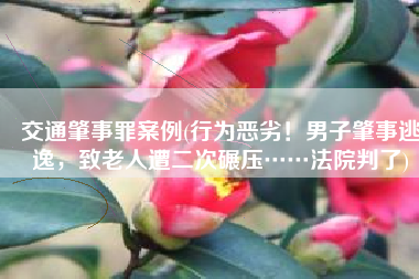 交通肇事罪案例(行为恶劣！男子肇事逃逸，致老人遭二次碾压……法院判了)