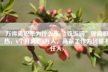 万得离职率为什么高(“铁饭碗”现离职热，6个月离职6万人，高薪工作为何留不住人)