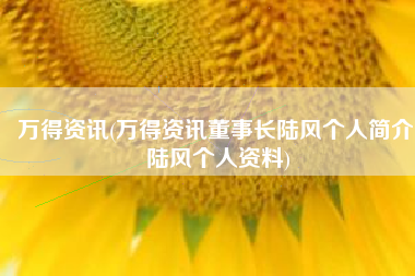 万得资讯(万得资讯董事长陆风个人简介 陆风个人资料)