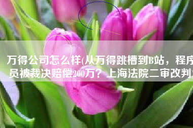 万得公司怎么样(从万得跳槽到B站，程序员被裁决赔偿200万？上海法院二审改判)